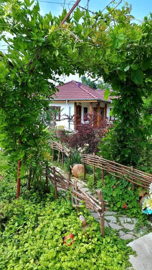 Гостевой дом Babinata Kashta-Srebarna Srebŭrna-17