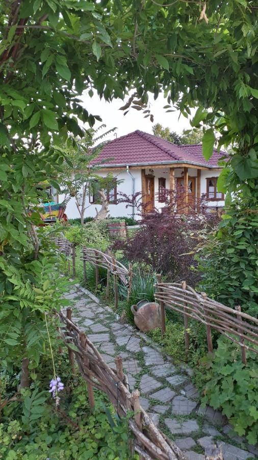 Гостевой дом Babinata Kashta-Srebarna Srebŭrna-6